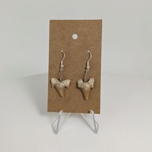 Shark tooth earrings, fossil, animal, gemstone jewelry